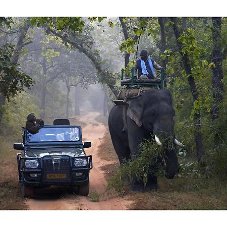 Samode Safari Lodge Parāsi エクステリア 写真