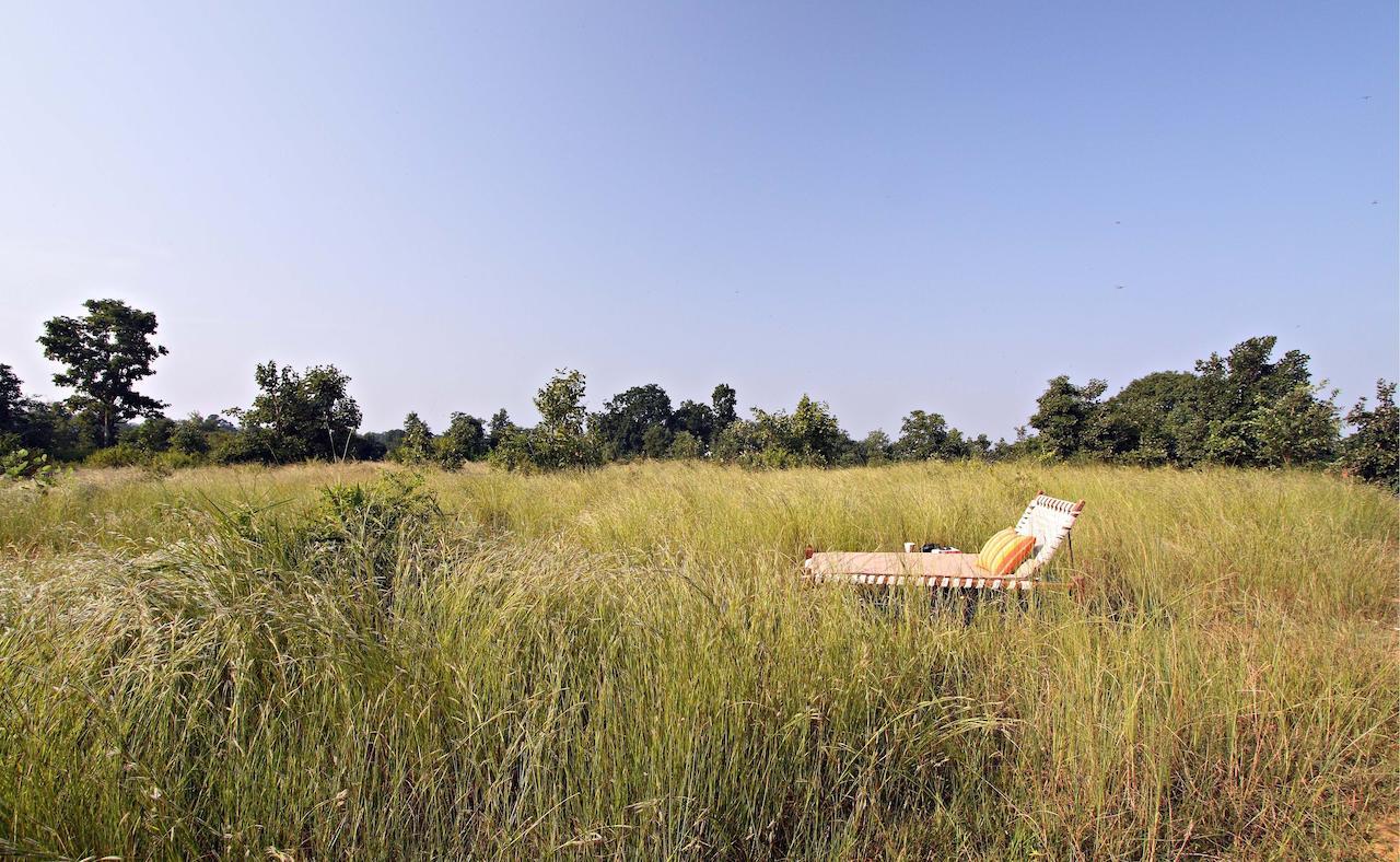 Samode Safari Lodge Parāsi エクステリア 写真