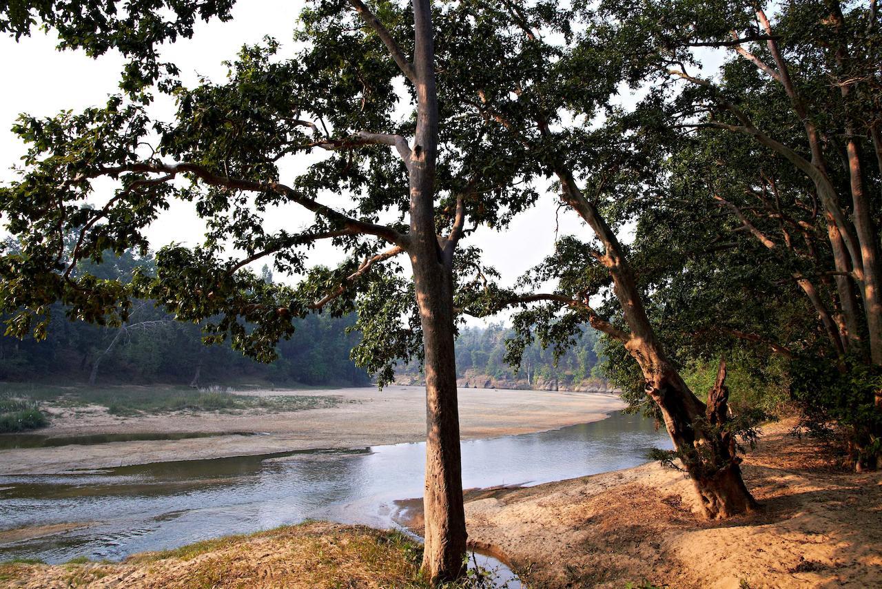 Samode Safari Lodge Parāsi エクステリア 写真