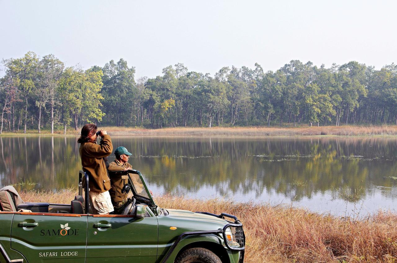 Samode Safari Lodge Parāsi エクステリア 写真